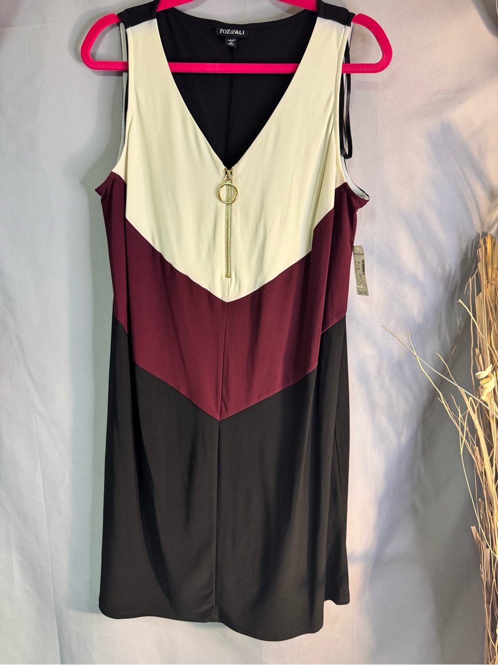 Roz & Ali Colorblock V‑Neck Sheath Dress in Cream, Burgundy & Black